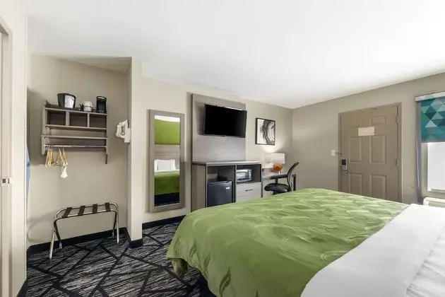 Oda, 1 En Büyük (King) Boy Yatak, Engellilere Uygun, Sigara İçilebilir