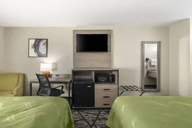 Standard Tek Büyük Yataklı Oda, 2 Çift Kişilik Yatak, Sigara İçilebilir