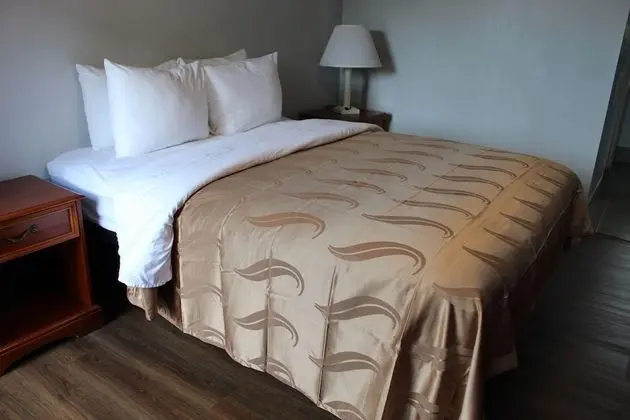 Oda, 1 En Büyük (King) Boy Yatak, Engellilere Uygun, Sigara İçilmez