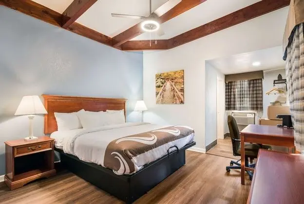 Oda, 1 En Büyük (King) Boy Yatak, Engellilere Uygun, Sigara İçilmez