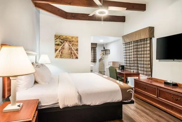 Standard Oda, 1 En Büyük (King) Boy Yatak, Sigara İçilmez