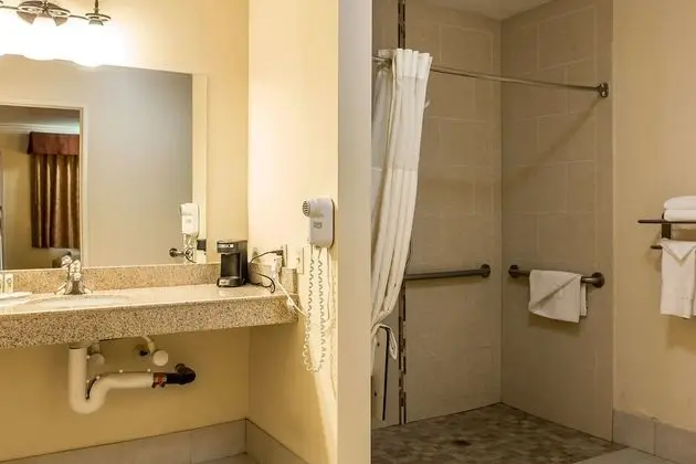 Standard Oda, 1 Büyük (Queen) Boy Yatak, Engellilere Uygun, Sigara İçilmez (Roll-In Shower)