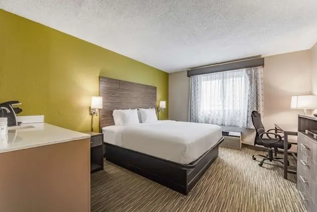 Standard Oda, 1 En Büyük (King) Boy Yatak, Sigara İçilmez, Buzdolabı ve Mikrodalga (Pet Friendly)