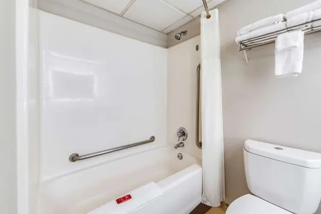 Standard Oda, 2 Çift Kişilik Yatak, Engellilere Uygun, Buzdolabı ve Mikrodalga