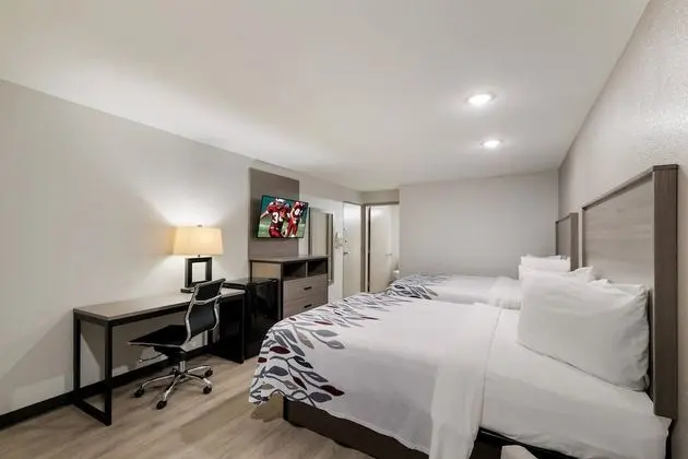 Deluxe Oda, 2 Çift Kişilik Yatak, Sigara İçilmez, Havuz Kenarı