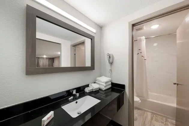 Deluxe Oda, 2 Çift Kişilik Yatak, Sigara İçilmez, Havuz Kenarı