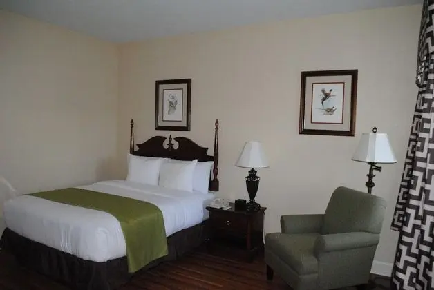 Standard Oda, 1 Büyük (Queen) Boy Yatak, Muhtelif Manzaralı