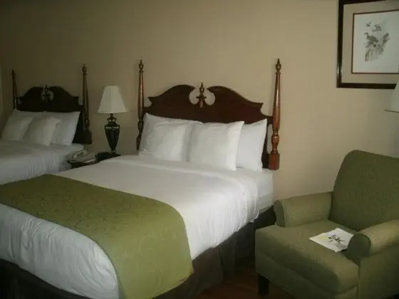 Standard Oda, 2 Büyük (Queen) Boy Yatak, Muhtelif Manzaralı