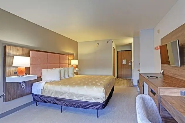 Oda, 1 En Büyük (King) Boy Yatak, Engellilere Uygun, Sigara İçilmez