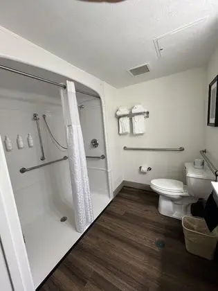 Oda, 1 En Büyük (King) Boy Yatak, Engellilere Uygun, Sigara İçilmez (Roll-In Shower)