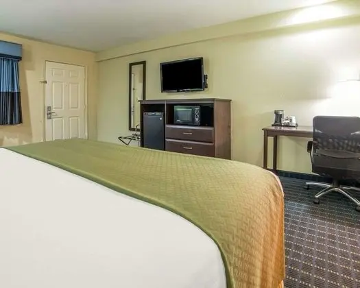 Standard Oda, 1 En Büyük (King) Boy Yatak, Sigara İçilmez