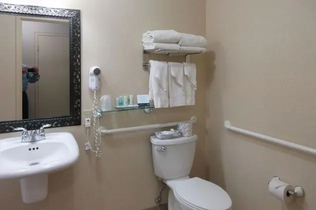 Oda, 1 Büyük (Queen) Boy Yatak, Engellilere Uygun, Sigara İçilmez (Roll-In Shower)