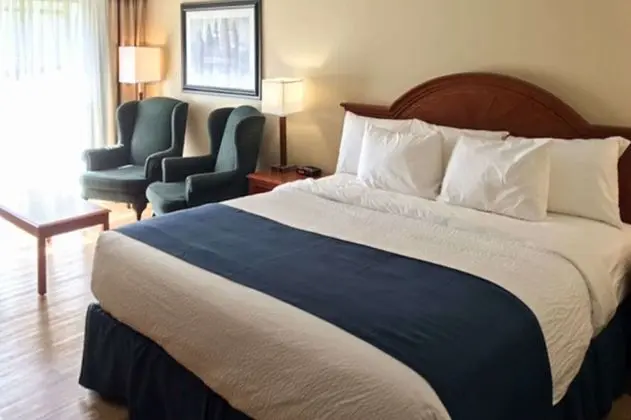Standard Oda, 1 En Büyük (King) Boy Yatak ve Çekyat, Sigara İçilmez (2 Person Sofa Bed)