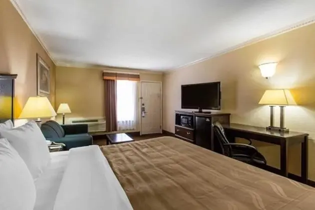 Standard Oda, 1 En Büyük (King) Boy Yatak, Sigara İçilmez (Pet Friendly)