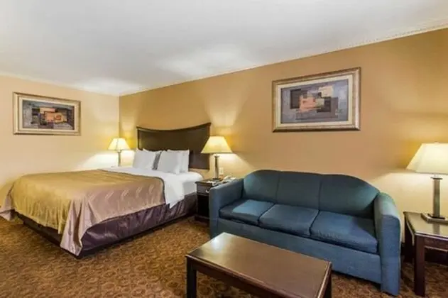 Standard Oda, 1 En Büyük (King) Boy Yatak, Sigara İçilmez (Pet Friendly)