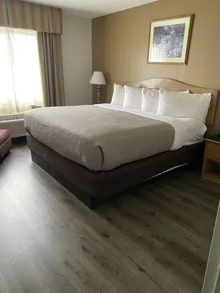 Standard Oda, 1 En Büyük (King) Boy Yatak, Sigara İçilmez