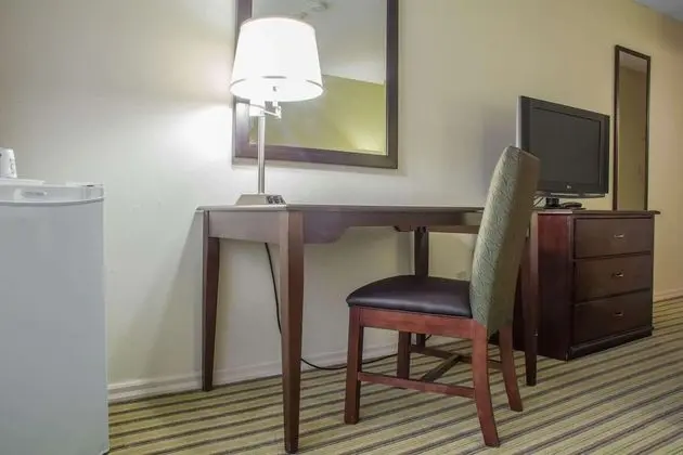 Suite, 1 King Bed, Non Smoking (Upgrade) (Not Pet friendly)