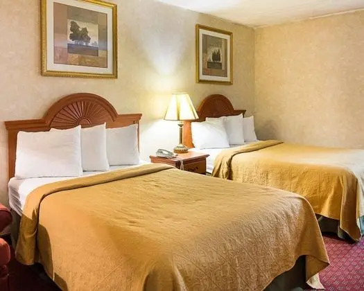 Standard Oda, 2 Çift Kişilik Yatak, Sigara İçilmez (Pet Friendly)