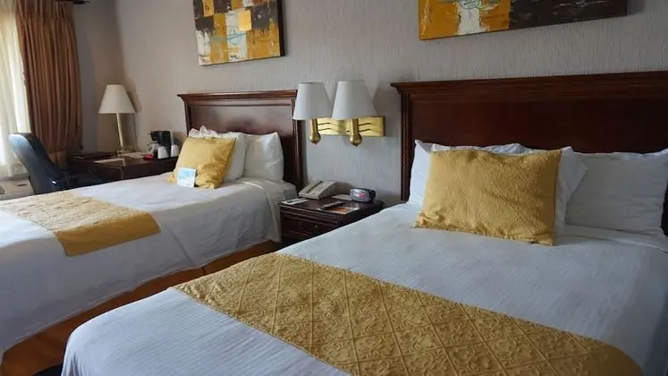 Standard Tek Büyük Yataklı Oda, 2 Çift Kişilik Yatak, Sigara İçilmez
