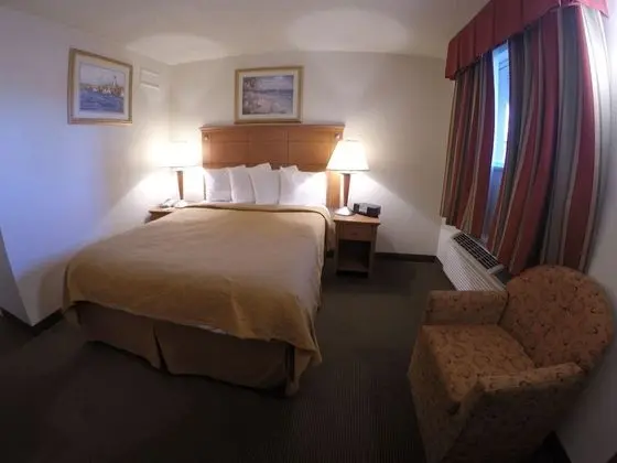 Standard Tek Büyük Yataklı Oda, Sigara İçilebilir (1 double bed)