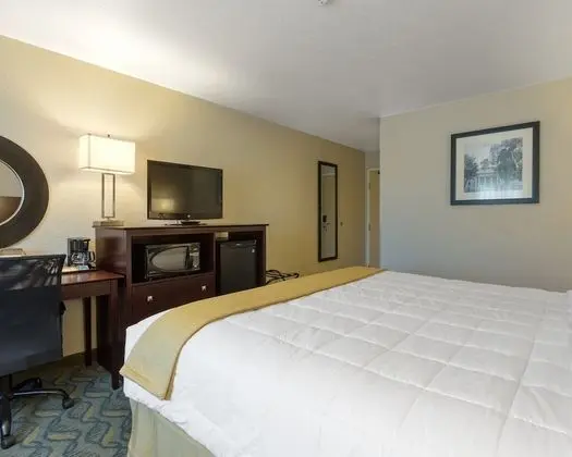 Standard Oda, 1 En Büyük (King) Boy Yatak, Sigara İçilmez