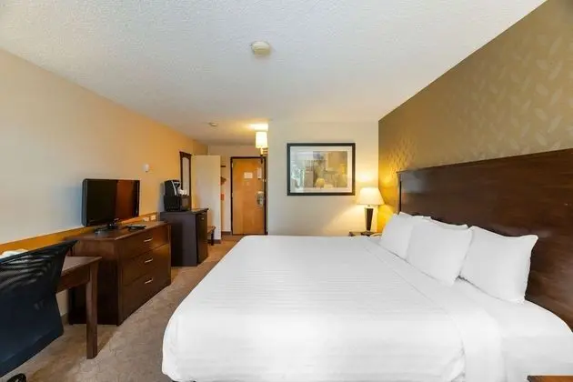 One King Bed Non Smoking