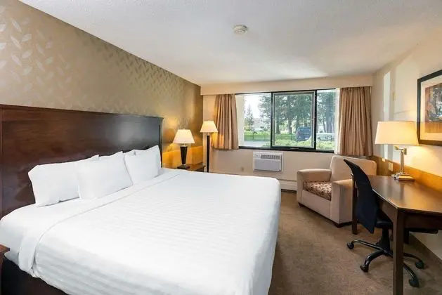 One King Bed Non Smoking
