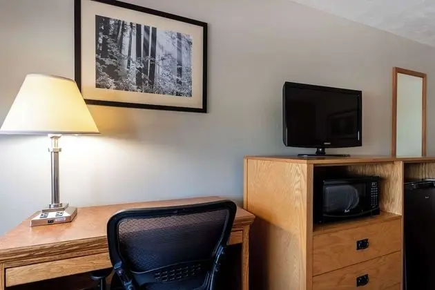 Standard Oda, 2 Büyük (Queen) Boy Yatak, Sigara İçilmez, Buzdolabı ve Mikrodalga (Pet Friendly)