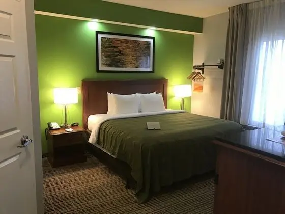 Standard Tek Kişilik Oda, 1 En Büyük (King) Boy Yatak, Sigara İçilmez