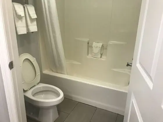 Standard Tek Kişilik Oda, 1 En Büyük (King) Boy Yatak, Sigara İçilmez