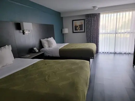 Tek Büyük Yataklı Oda, 2 Çift Kişilik Yatak, Sigara İçilmez