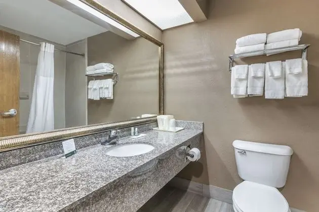 Oda, 1 En Büyük (King) Boy Yatak ve Çekyat, Engellilere Uygun, Sigara İçilmez