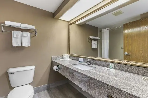 Standard Oda, 1 En Büyük (King) Boy Yatak, Sigara İçilmez