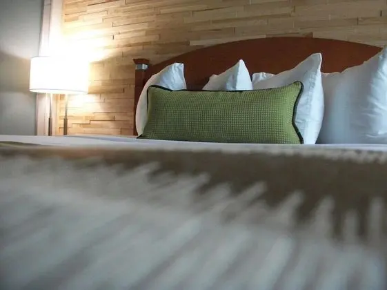Deluxe Oda, 2 Çift Kişilik Yatak, Sigara İçilmez