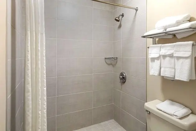 Standard Oda, Sigara İçilmez ( King Bed or 2 Doubles)