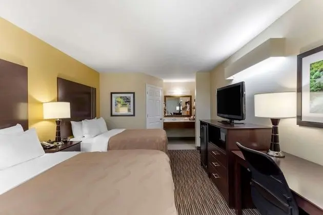 Two Double Beds NonSmoking,Pet Friendly Room