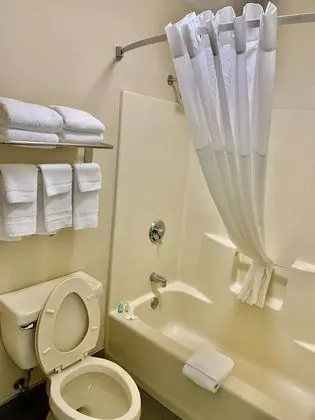 Two Double Beds NonSmoking,Pet Friendly Room