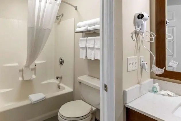 Two Double Beds NonSmoking,Pet Friendly Room