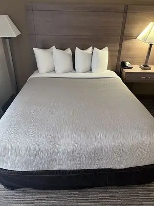 Standard Oda, 2 Büyük (Queen) Boy Yatak, Sigara İçilmez
