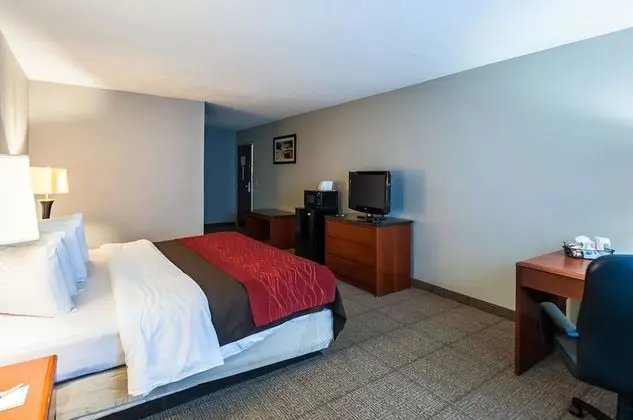 Oda, 1 En Büyük (King) Boy Yatak, Engellilere Uygun, Sigara İçilmez