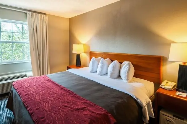 Oda, 1 En Büyük (King) Boy Yatak, Engellilere Uygun, Sigara İçilmez