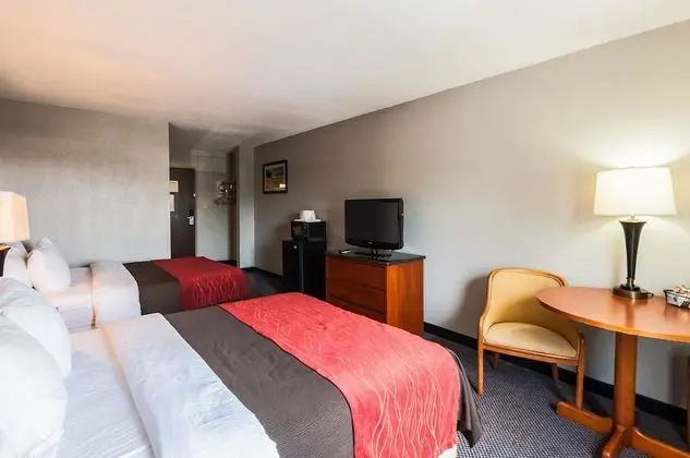 Standard Oda, 2 Büyük (Queen) Boy Yatak, Sigara İçilmez