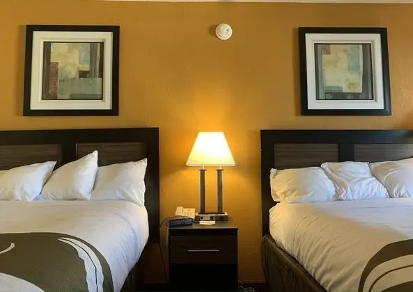 Standard Tek Büyük Yataklı Oda, 2 Çift Kişilik Yatak, Sigara İçilmez