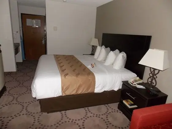 Standard Oda, 1 En Büyük (King) Boy Yatak ve Çekyat, Sigara İçilmez (1 Person Sofa Bed)