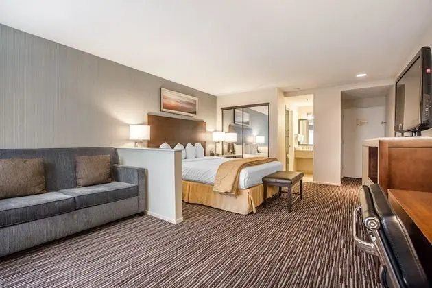 Standard Room, 1 King Bed, Accessible Tub, Non Smoking