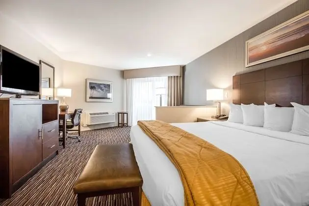 Standard Room, 1 King Bed, Accessible Tub, Non Smoking