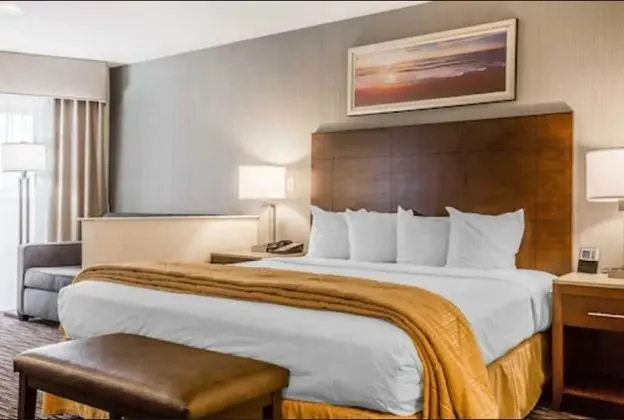 Standard Room, 1 King Bed, Accessible Tub, Non Smoking