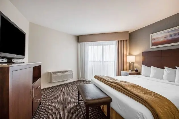 Standard Room, 1 King Bed, Accessible Tub, Non Smoking