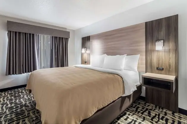 Suite 1 King 1 Queen Non Smoking 1 person Sofabed