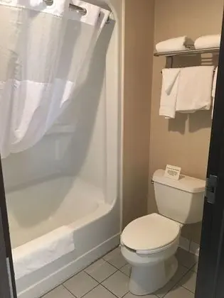 Oda, 1 En Büyük (King) Boy Yatak, Sigara İçilmez, Buzdolabı ve Mikrodalga (Upgraded Room)